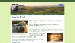 Devon and Cornwall longwool association